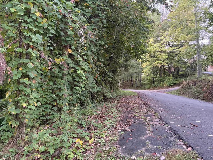 0000 Mountain View Road, Williamsburg, KY 40769 - #2