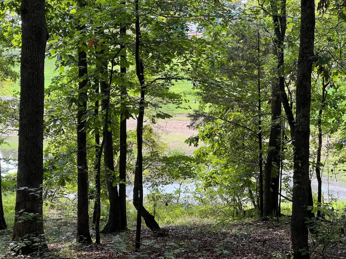 Lot 13  Veal Lane, New Concord, KY 42076 - #1