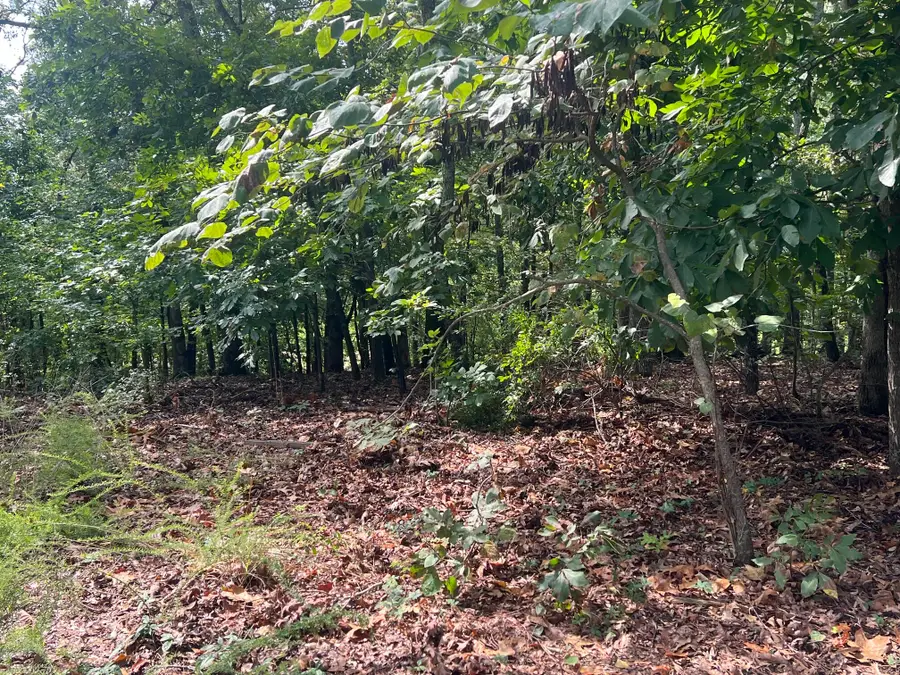 Lot 13  Veal Lane, New Concord, KY 42076 - #3