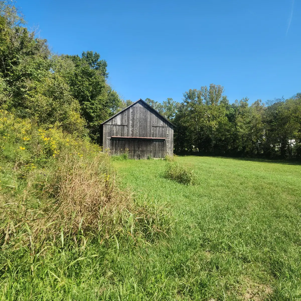 134 Whitlock Road, Richmond, KY 40475 - #1