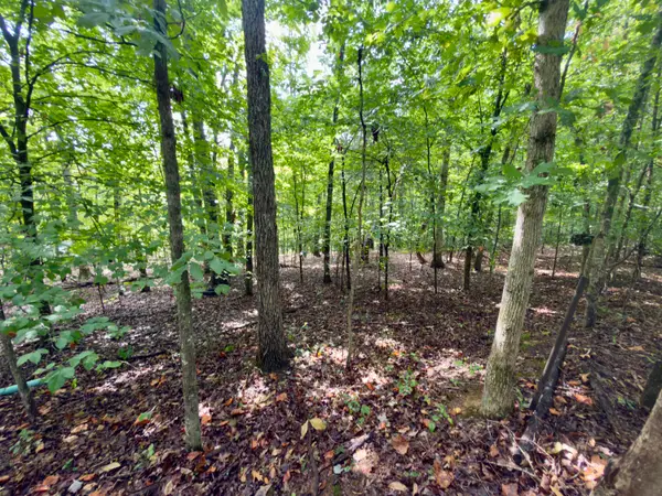 98 Dogwood Trail, Monticello, KY 42633
