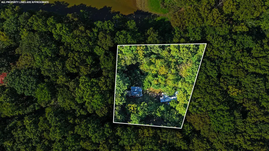 59 Shore Drive, Cadiz, KY 42211 - #1