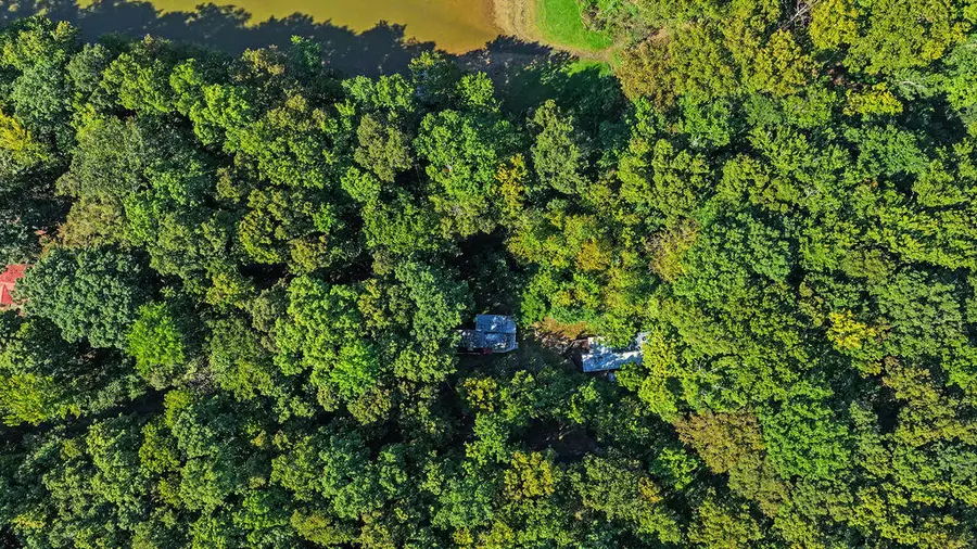 59 Shore Drive, Cadiz, KY 42211 - #2