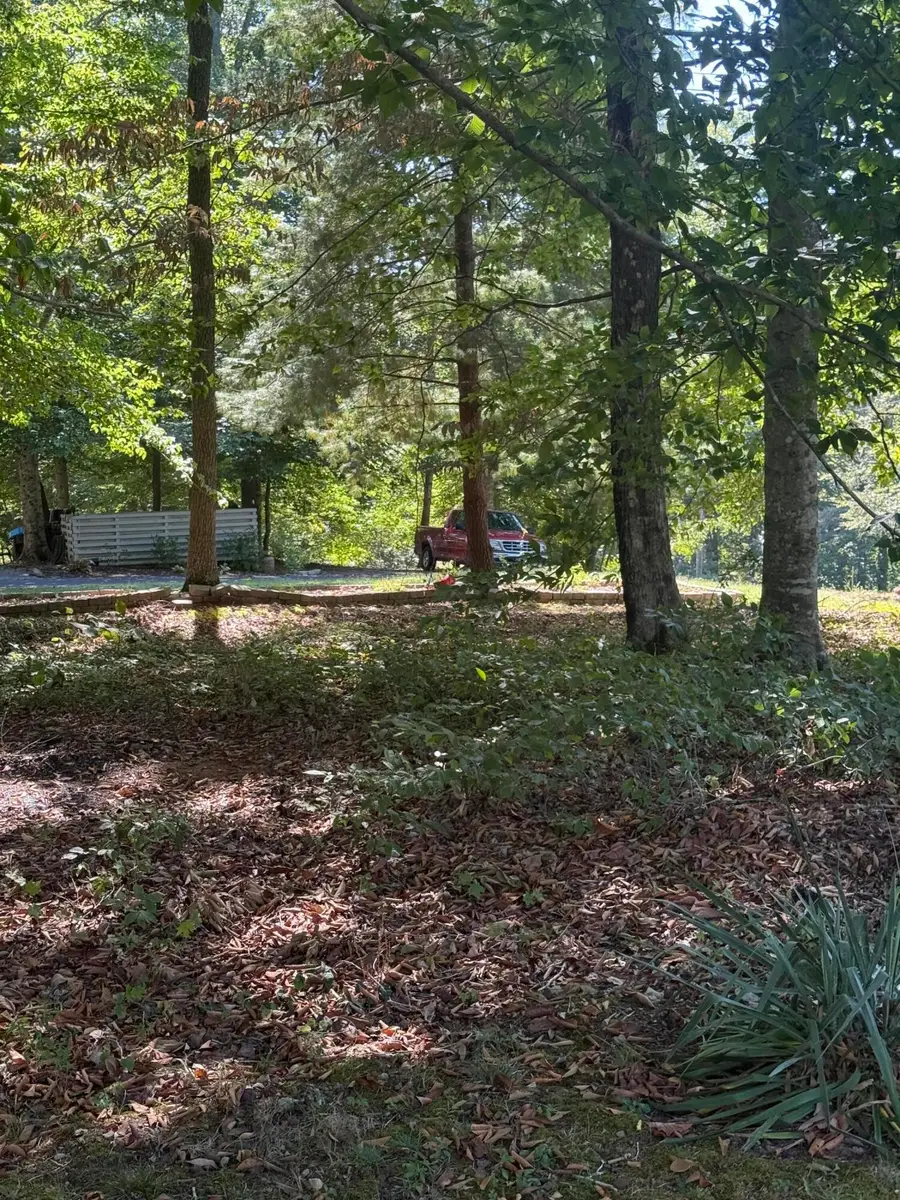 554 Lily Creek Resort Road, Jamestown, KY 42629 - #3