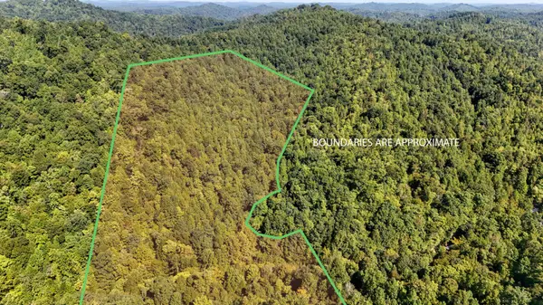 1737 Laurel Branch Road, Walker, KY 40997