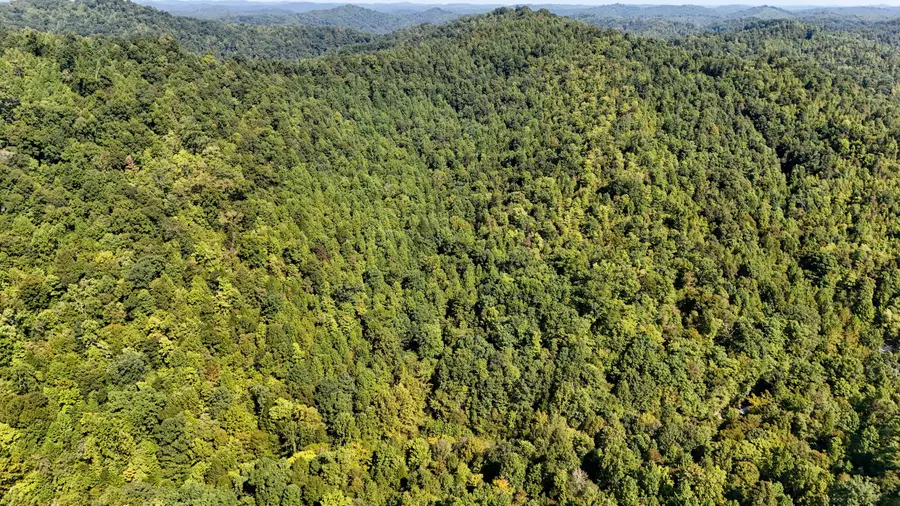 1737 Laurel Branch Road, Walker, KY 40997 - #2