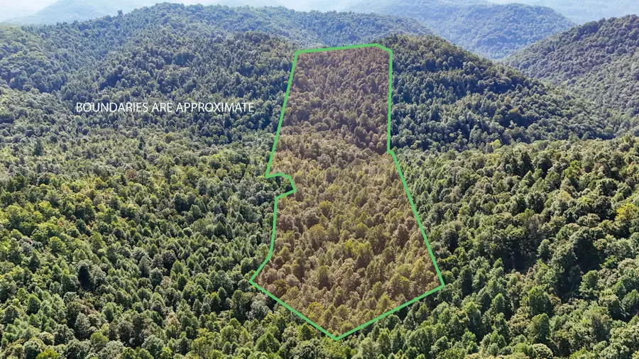 1737 Laurel Branch Road, Walker, KY 40997 - #3