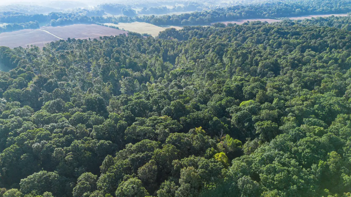 000 0 Irma White Rd Road, Marion, KY 42064 - #1