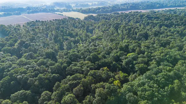 000 0 Irma White Rd Road, Marion, KY 42064