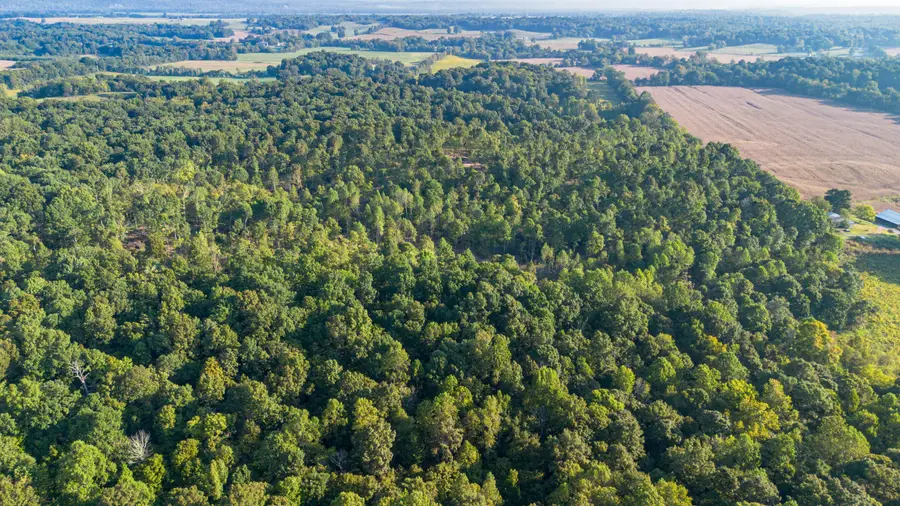 000 0 Irma White Rd Road, Marion, KY 42064 - #2