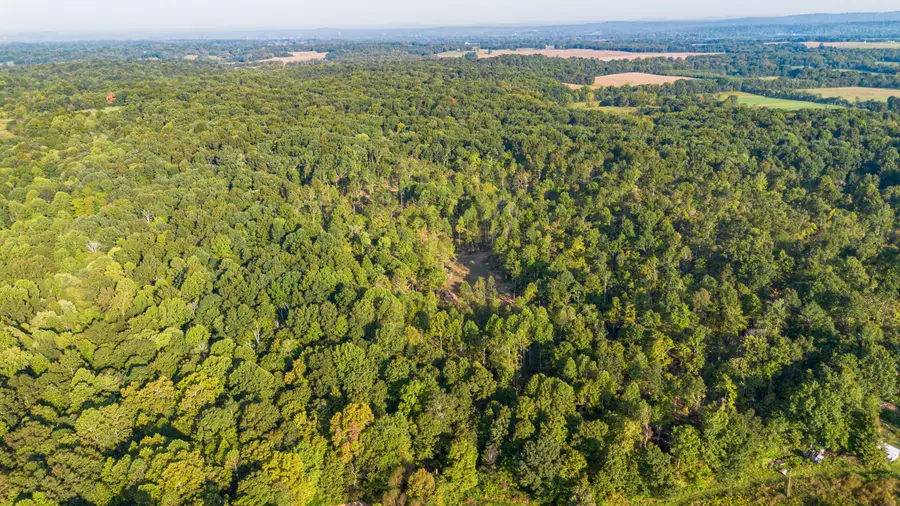 000 0 Irma White Rd Road, Marion, KY 42064 - #3