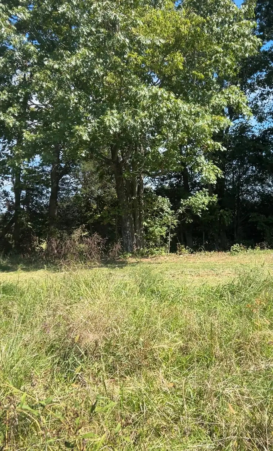 1040 Lin Moore Road, Lawrenceburg, KY 40342 - #3
