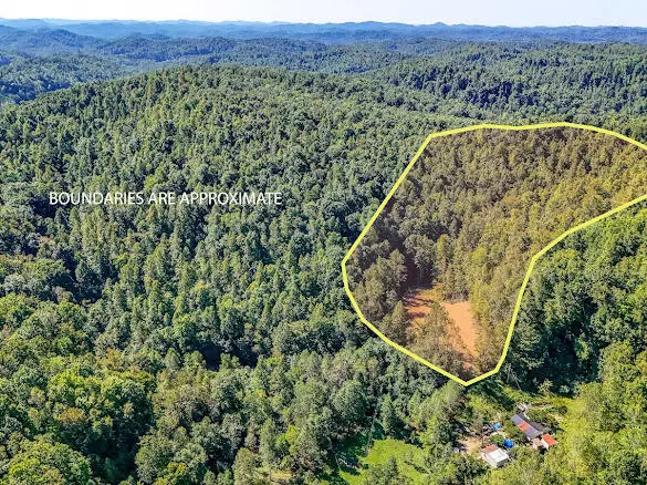 740 Napier Hollow Road, Manchester, KY 40962
