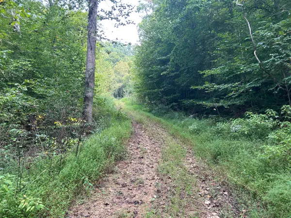 9999 Little Leatherwood Creek Road, Cornettsville, KY 41731