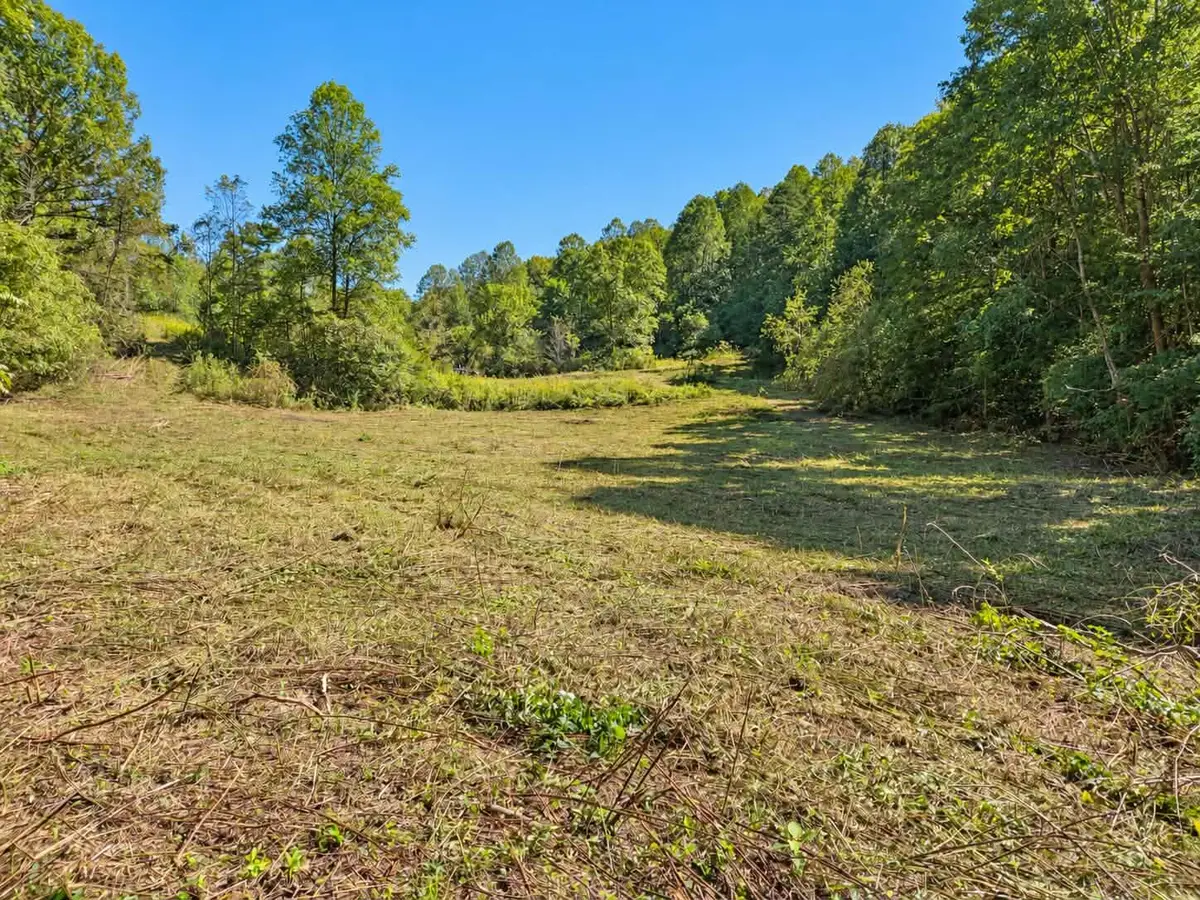 265 Cox Road, Irvine, KY 40336 - #1