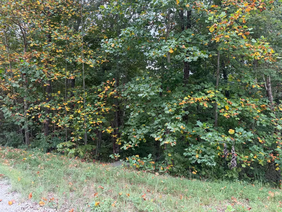 Lot 5 N Shore Drive, Monticello, KY 42633 - #2