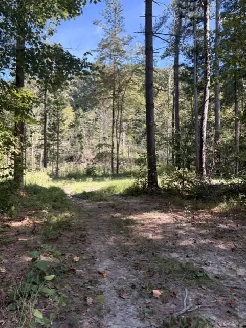 1819 Ky-698, Stanford, KY 40484 - #2