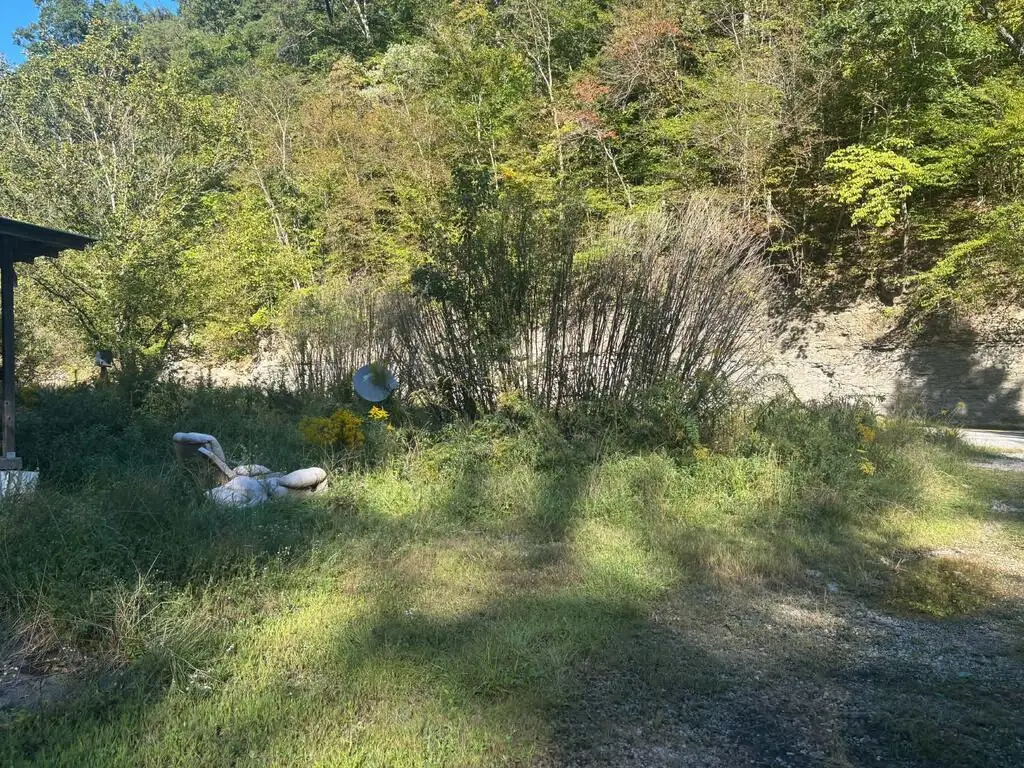 885 Ky Route 581, Paintsville, KY 41240 - #1