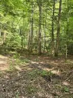Lot 79 Fixer Road, Zoe, KY 41397
