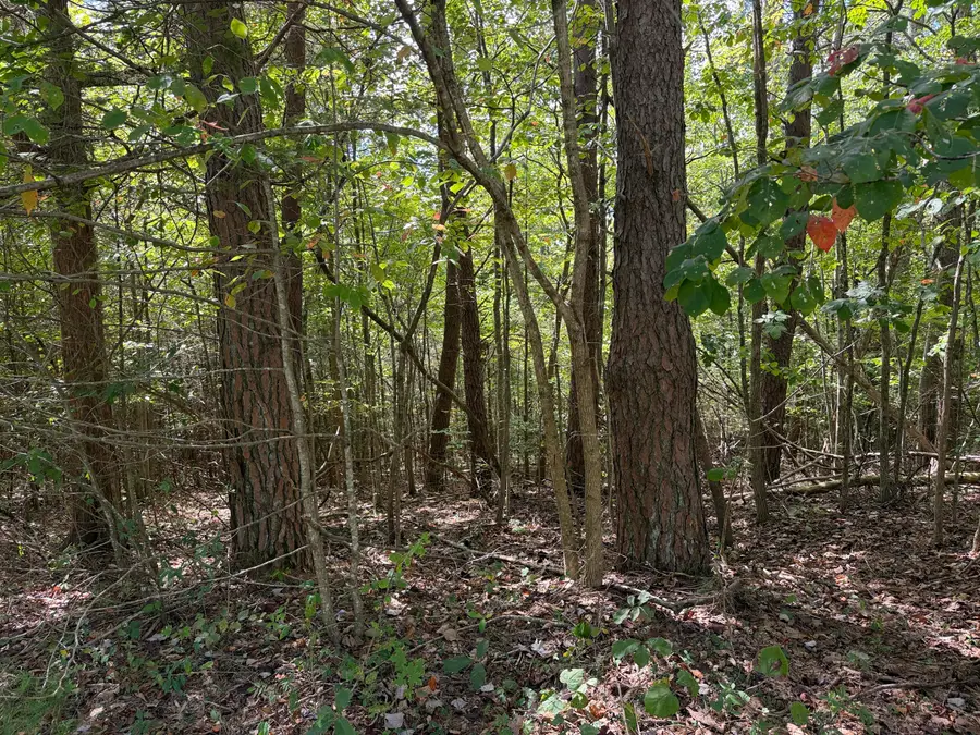 0 E Taxiway Drive #Lot 19, Albany, KY 42602 - #3