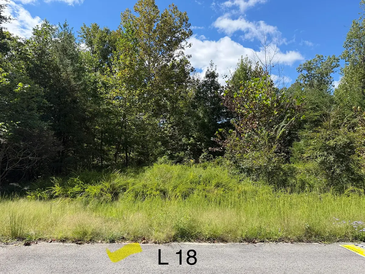 0 E Taxiway Drive #Lot 18, Albany, KY 42602 - #1