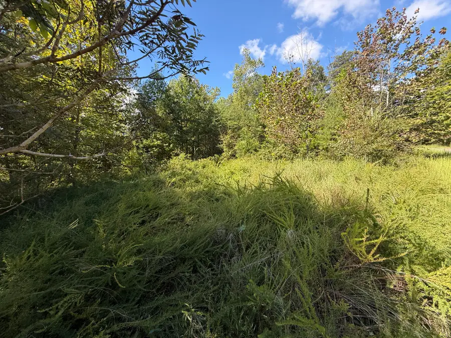 0 E Taxiway Drive #Lot 18, Albany, KY 42602 - #3
