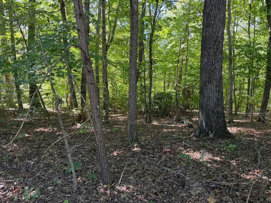 0 E Taxiway Drive #Lot 17, Albany, KY 42602 - #3