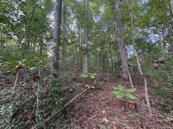 0009 Fincastle #Lot 9, Rogers, KY 41365