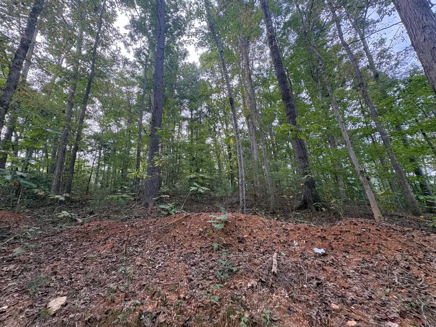0009 Fincastle #Lot 9, Rogers, KY 41365 - #3
