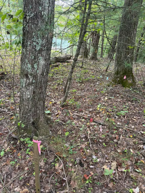 0003 Fincastle #Lot 3, Rogers, KY 41365