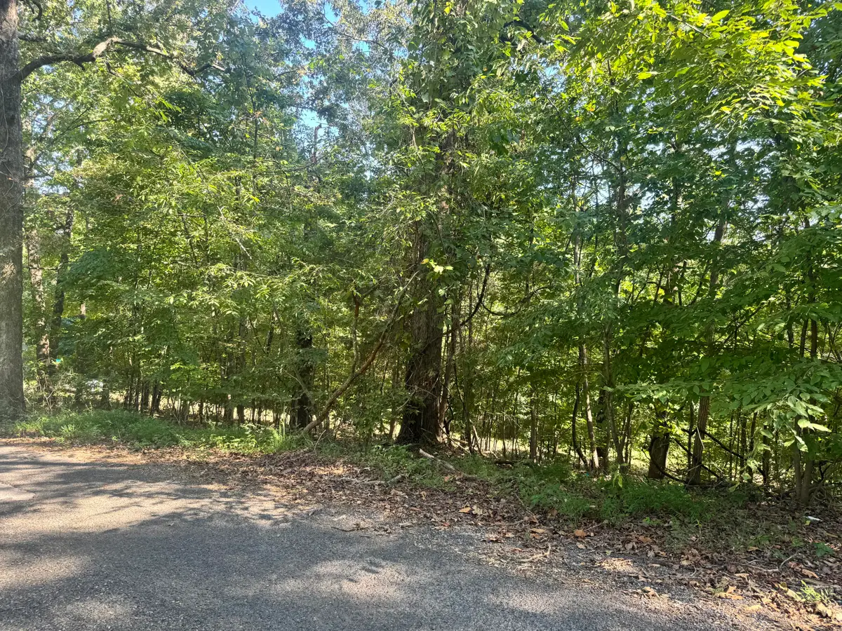 Lot 123 Channel Drive, Murray, KY 42071 - #1