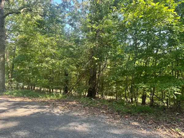 Lot 123 Channel Drive, Murray, KY 42071