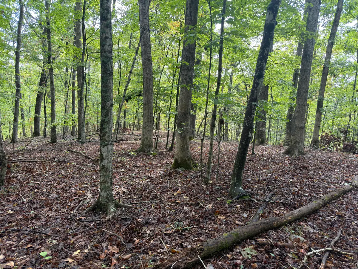 99 Dogwood Trail, Nancy, KY 42544 - #1