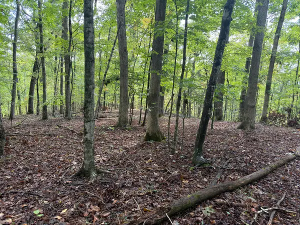 99 Dogwood Trail, Nancy, KY 42544