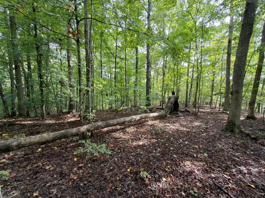 99 Dogwood Trail, Nancy, KY 42544 - #2