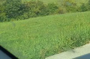 91 Grandview Circle #Lot A27, Flemingsburg, KY 41041