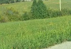 101 Grandview Circle #Lot  A28, Flemingsburg, KY 41041 - #2