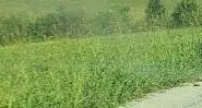 111 Grandview Circle #Lot A29, Flemingsburg, KY 41041