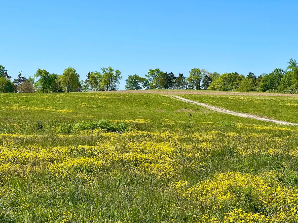 401 Appaloosa Trail #Lot 17, Wilmore, KY 40390 - #1