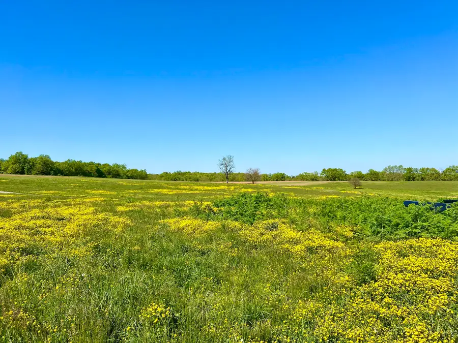 401 Appaloosa Trail #Lot 17, Wilmore, KY 40390 - #2