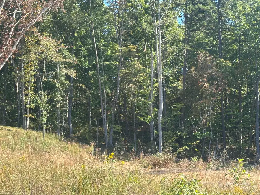 285 Hollywood Drive #Lot 79, Corbin, KY 40701 - #3