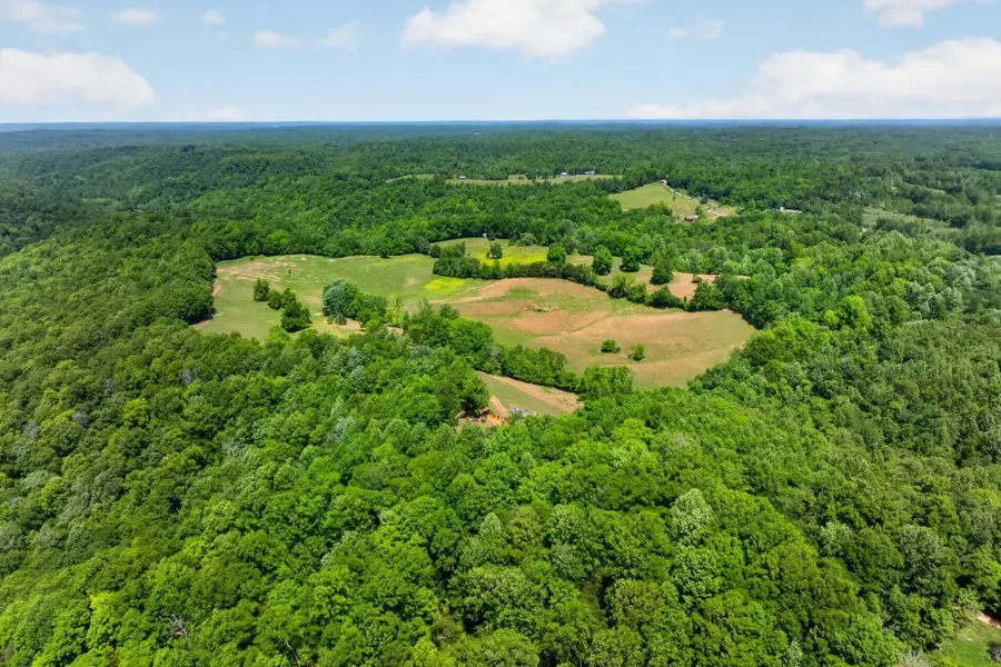 127.57 AC Homer Watson Road, Burkesville, KY 42717 - #2