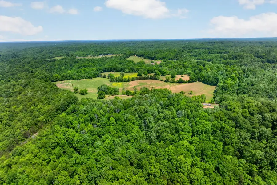 127.57 AC Homer Watson Road, Burkesville, KY 42717 - #3