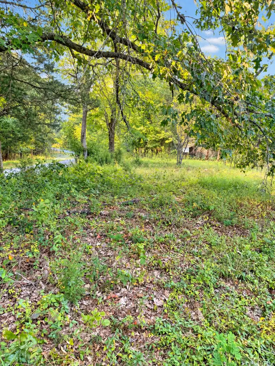 2400 Bethany Church Road, Princeton, KY 42445 - #3