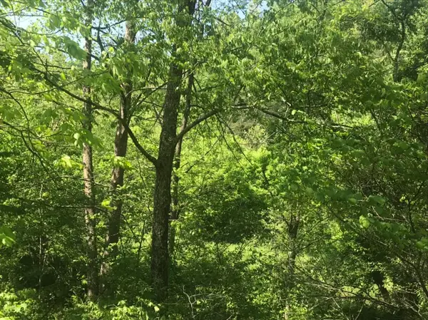 TBD  Aden Road, Olive Hill, KY 41164
