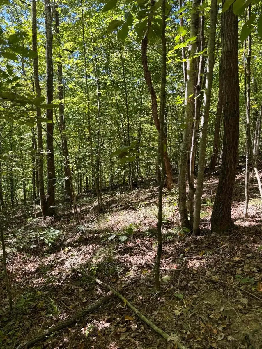 3825 Highway 191, West Liberty, KY 41472 - #3