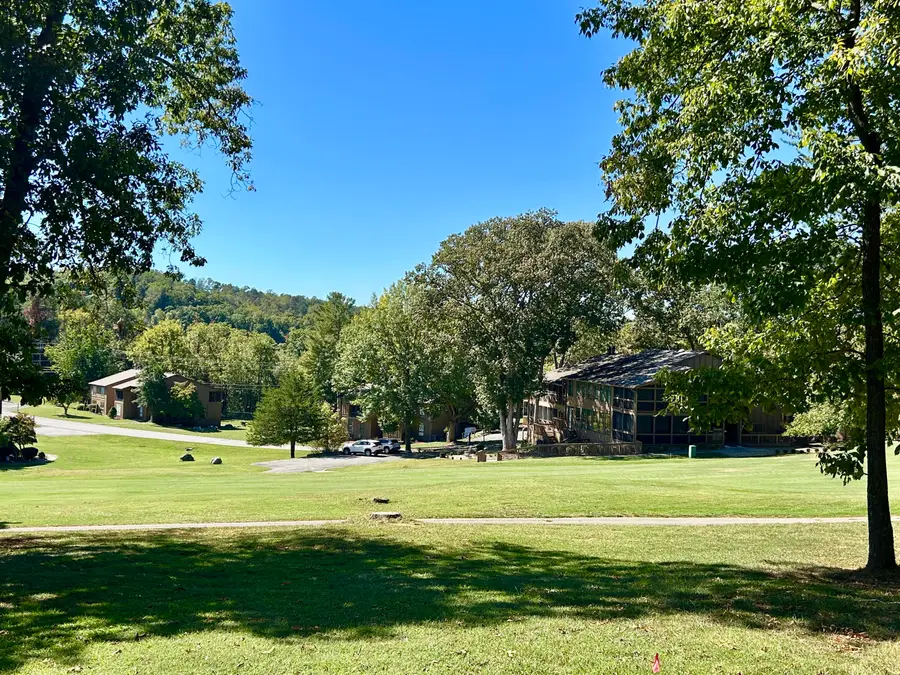 29-3 Woodson Bend Resort, Bronston, KY 42518 - #3