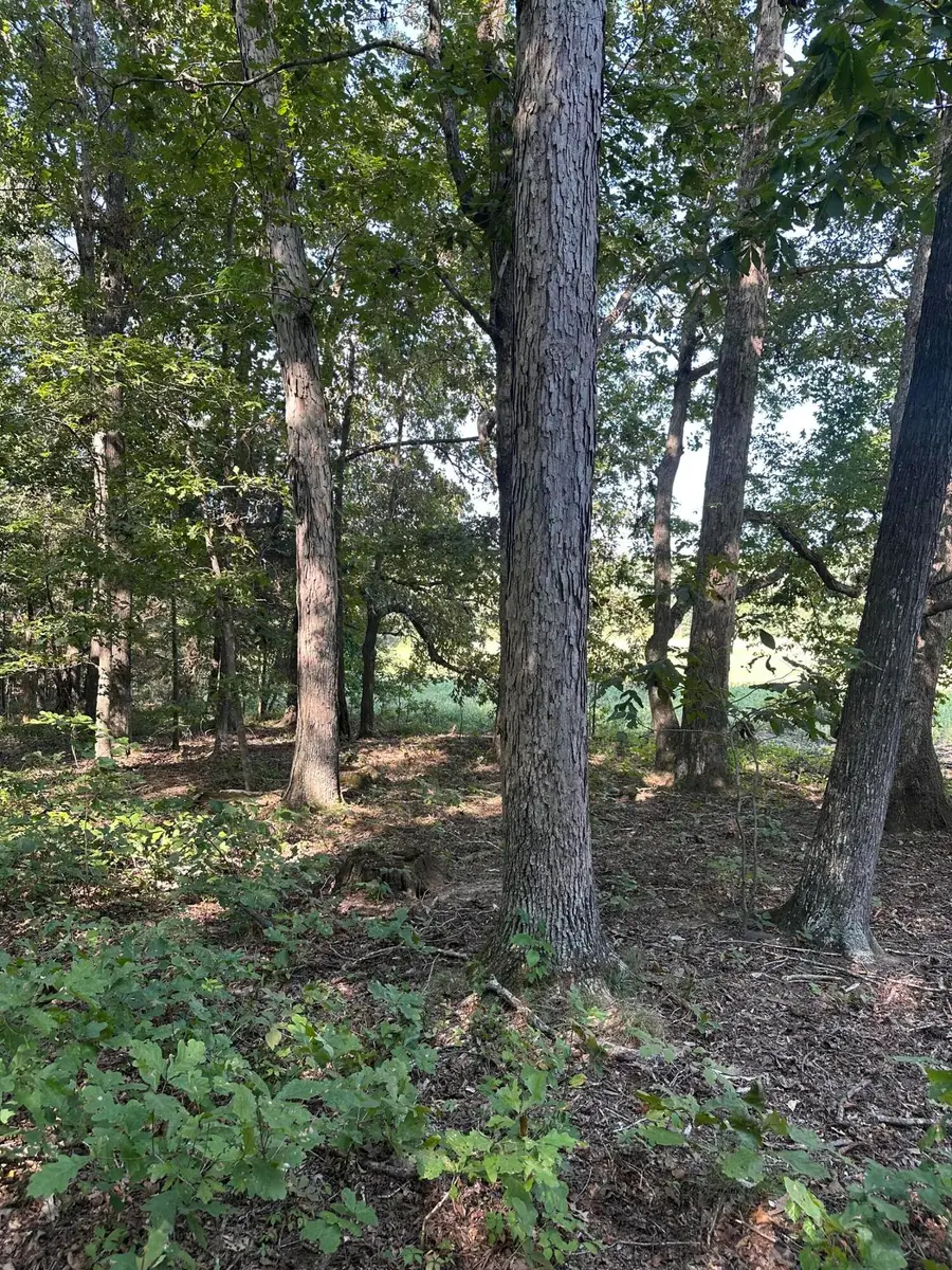 0 Perkins Road, Puryear, TN 38251 - #3