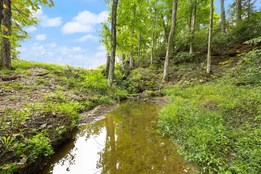 7120 Us-127, Albany, KY 42602 - #3