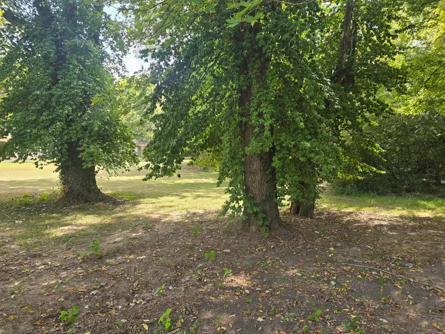 515 Columbus Street, Paducah, KY 42001 - #3